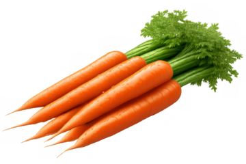 Fresh organic carrots with green tops, a healthy root vegetable bunch for natural nutrition and vegetarian diet, transparent background