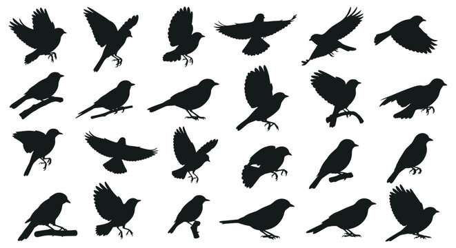 A very large and diverse collection of small songbird silhouettes in various flying perching and standing poses.