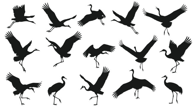 Large collection of detailed black silhouettes of crane birds in various graceful poses including flying dancing standing and landing.