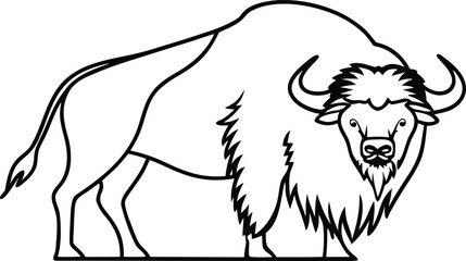 Obraz premium buffalo outline silhouette vector illustration 