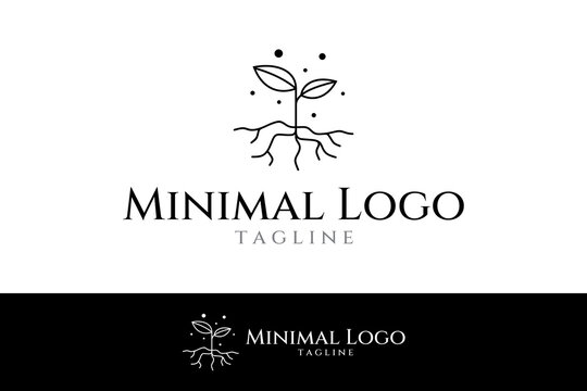 modern seed, leaf, and root logo design vector with line style