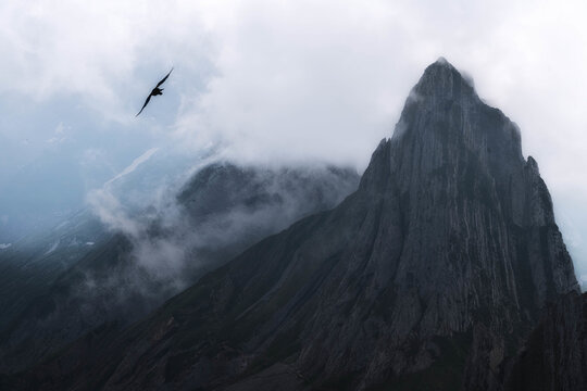 A cinematic shot of a jagged alpine peak piercing through mist, featuring a lone bird silhouette. Moody high-contrast atmosphere ideal for premium travel or outdoor gear branding