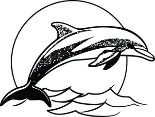 dolphin marine animal silhouette vector illustration
