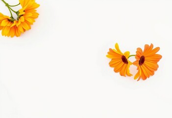 Clean white background texture, seamless backdrop,  design,  image