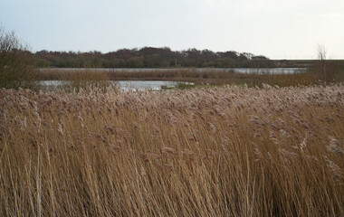 S&uuml;dstrandpolder