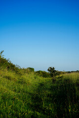 Obraz premium Footpath in the countryside woodland