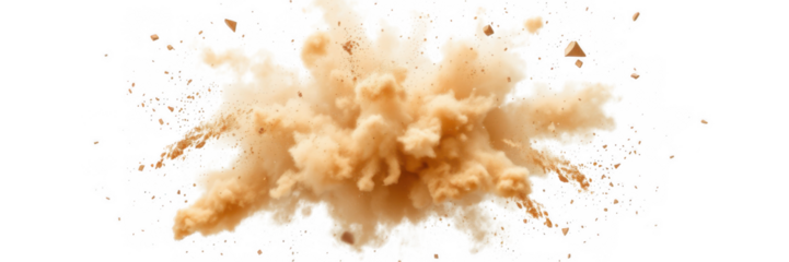 Explosion of fine powder