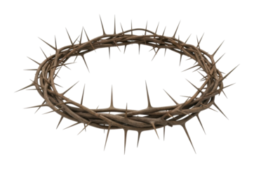 Symbolic thorn crown display religious context artistic environment isolated on transparent background