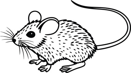 mouse standing silhouette vector illustration

