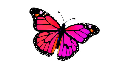 Obraz premium Vibrant pink butterfly