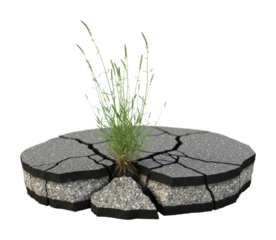 Cracked asphalt with grass growth urban nature isolated on transparent background