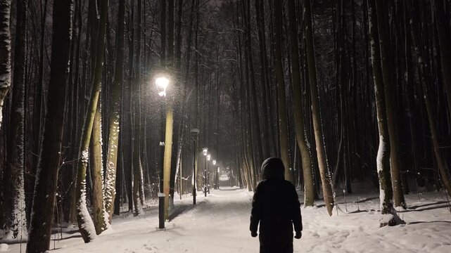 Nighttime video of a solitary woman walking away into a deep, snow-covered forest during a heavy snowfall, illuminated by the warm glow of lanterns.