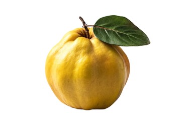Single yellow quince fruit isolated on white background