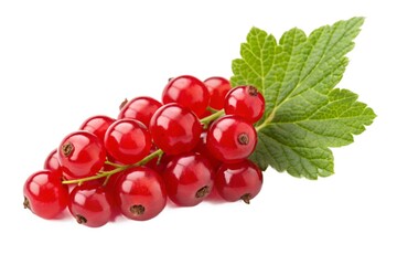 Fresh red currants with green leaves isolated on white background