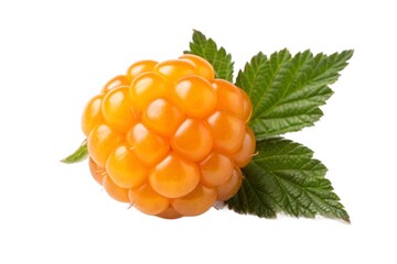 Single golden raspberry with leaf isolated on white background