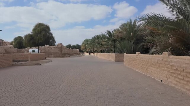 Al Ain Oasis isted palm oasis featuring shaded walkways, ancient falaj irrigation, and lush greenery in the heart of Al Ain