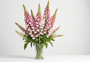 Pink foxglove bouquet on white background, elegant composition, classic arrangement