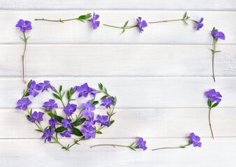 Purple periwinkle flowers frame with heart shape on white wooden background, flat lay spring floral...