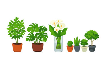 Collection of Potted Plants and Callas in a Vase on a Green Background