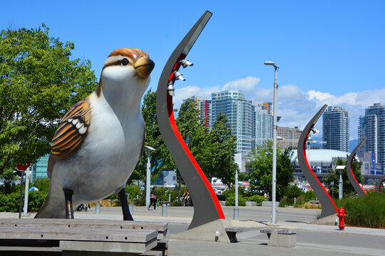 VANCOUVER BC CANADA JUNE 10 2015: Birds comprises a pair of outdoor sculptures depicting sparrows by Myfanwy MacLeod, installed after the 2010 Winter Olympics in Southeast False Creek Olympic Plaza