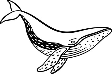 whale detailed silhouette vector illustration
