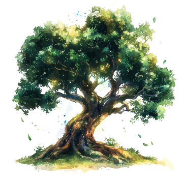 Kapok Tree, fantasy-inspired semi-realistic illustration, soft glowing accents, watercolor style, isolated on white