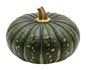 Harvesting fresh green pumpkin farm food nature isolated on transparent background