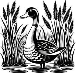 Elegant black and white illustration of a duck amidst wetland reeds, white background