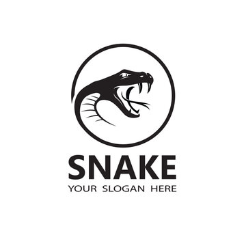 illustration of black snake head isolated on white background