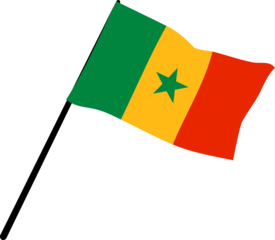 illustration of Senegal flag