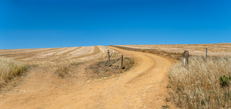 contry road in wheat stubble fields,  Threewaterskloof Municipality, South Africa