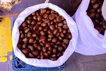 Fresh organic chestnuts in white sack at local market, natural brown nuts background for autumn wellness, eco-friendly food template with copy space for banner and botanical poster design