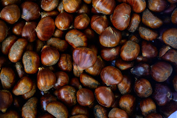 Close up of raw organic chestnuts background; natural botanical plant texture for wellness, sustainability and harmony. Eco friendly herbal banner with copy space for mindfulness and relaxation. 