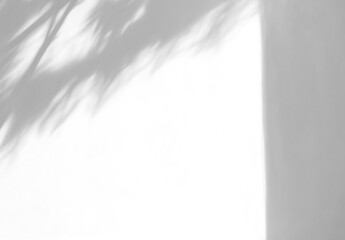 Isolated soft shadows overlay of leaves through a window on a wall. Transparent background. Black shadow brush. Generative ai