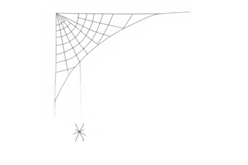 Spider web with a small spider on a transparent background, perfect for horror, halloween, or creepy themes