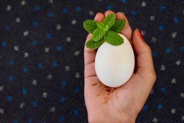 A hand holding a white egg topped with fresh mint leaves, symbolizing healthy eating, nutrition, organic food, wellness, and clean lifestyle concepts.