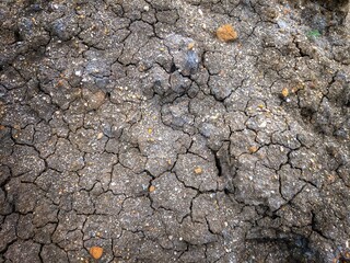 Close-up of cracked dry soil surface showing drought, climate change, water scarcity and environmental stress.