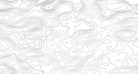 Vector geographic contour map. Background of the topographic map. Topography background. Vector banner. Topography map background. © Mst
