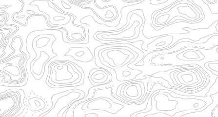 Topography background. Vector banner. Topography map background. Vector geographic contour map. Background of the topographic map. © Mst