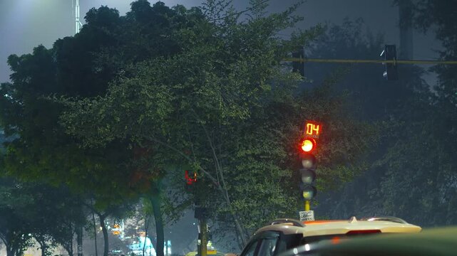 Traffic Lights on Indian Delhi Road During Night Time City Commute