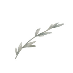 Watercolor grey branch in minimalistic style. Suitable for cards, holiday decoration, seasonal greeting, botanical theme and cozy designs.