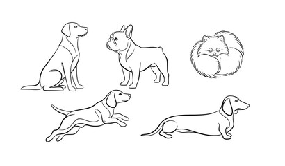 Minimalist dog line art vector set with abstract canine outlines for modern home decor and pet lovers