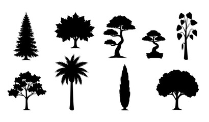 Unique tree silhouettes vector set with spruce, maple, bonsai, eucalyptus, palm, dogwood, cypress, and oak icons