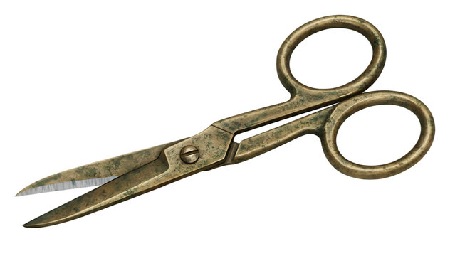 Small brass herb scissors with large finger loops isolated on transparent background