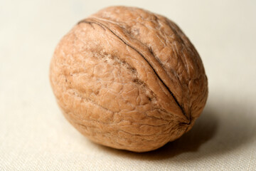 Close-up view of a single walnut on a textured background