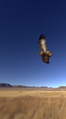 skylark. A skylark bird soaring high in the blue sky with its wings fully spread. wildlife magazines, conservation campaigns, designed for eco-tourism storytelling, promotes animal welfare.
