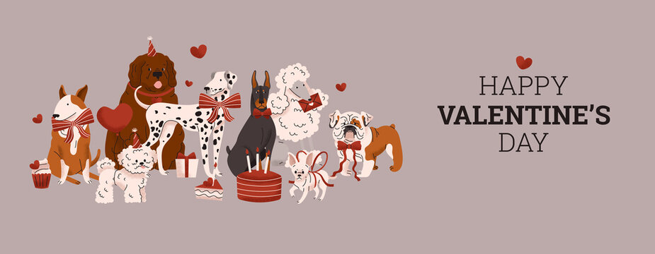 Dog breeds. Valentine's Day. Greeting banner February 14 Love Balloon, cake, bow, heart, gift. Funny animal. Chihuahua, Poodle, Newfoundland, Bulldog, Bull Terrier, Dalmatian, Bichon Frise, Doberman