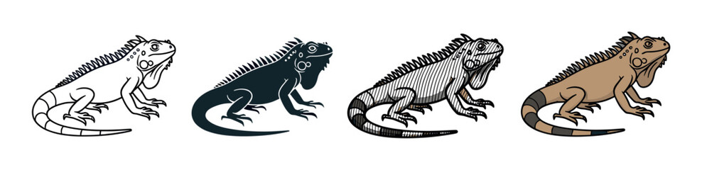Obraz premium Set of four iguana reptile illustrations presented in various graphic styles including line art, silhouette, hatching, and full color for versatile design use
