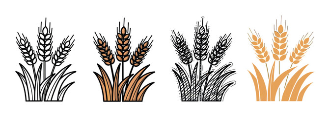 Set of four wheat illustrations in different graphic styles including outline, colored, sketch, and flat silhouette, representing agriculture, harvest, and natural grain
