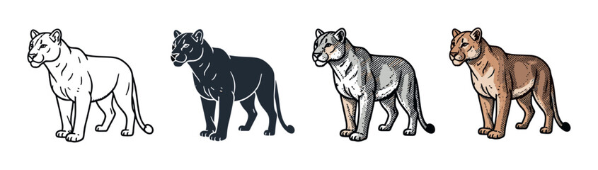 Obraz premium Set of four cougar illustrations in a vintage woodcut style, featuring line art, silhouette, grayscale, and full color versions of the powerful mountain lion